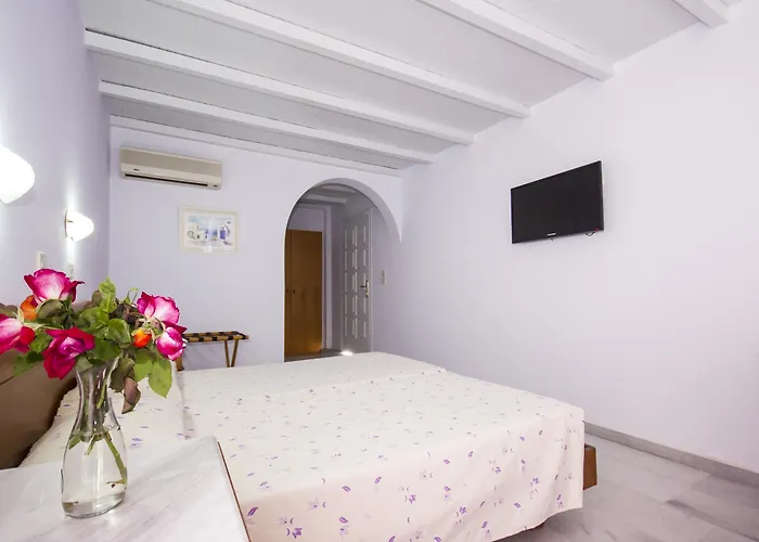 Отель Naxos Holidays