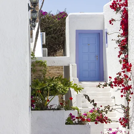 酒店 纳克索斯假日酒店 Naxos City