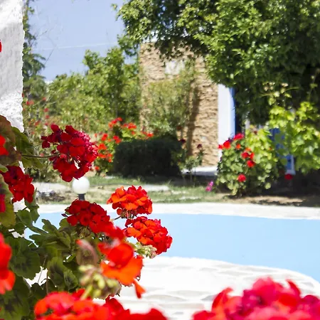 فندق Naxos Holidays Naxos City