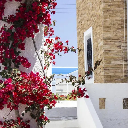 Naxos Holidays 3* Naxos City