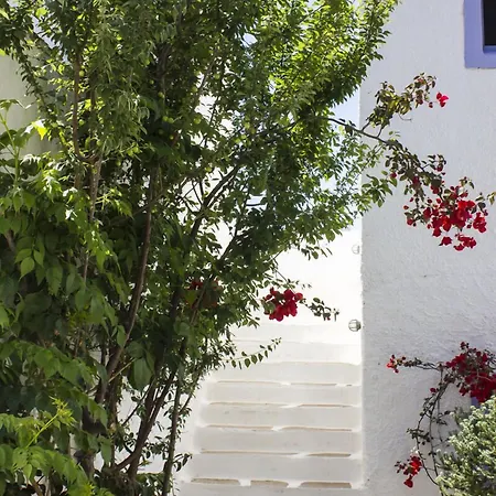 Naxos Holidays מלון 3*