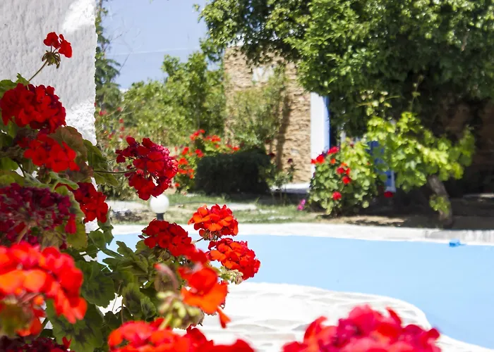 酒店 纳克索斯假日酒店 Naxos City