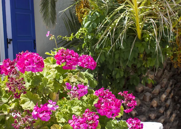 纳克索斯假日酒店 3* Naxos City