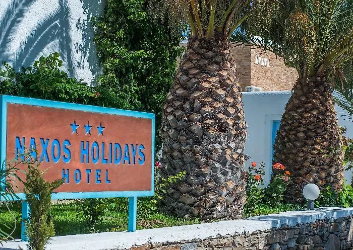 纳克索斯假日酒店 3*